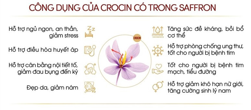 Những lợi ích tích cực của thành phần Crocin trong nhụy hoa nghệ tây